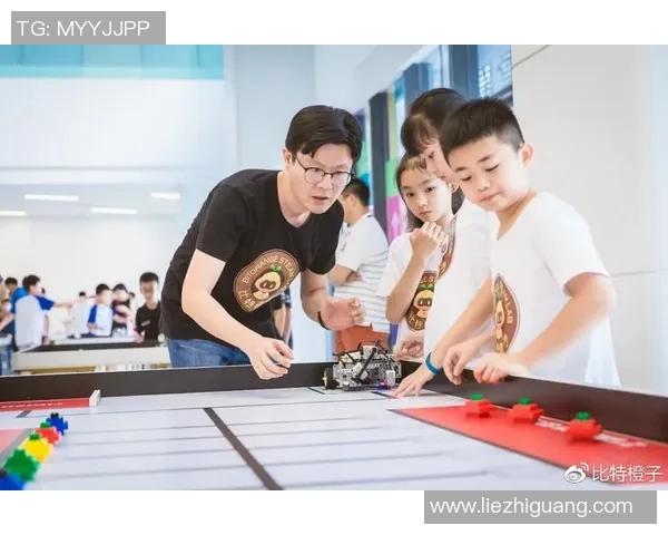 成都极限运动队心理素质分析及其对竞技表现的影响研究MBA